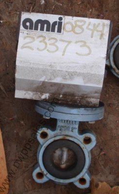 23373a.jpg
