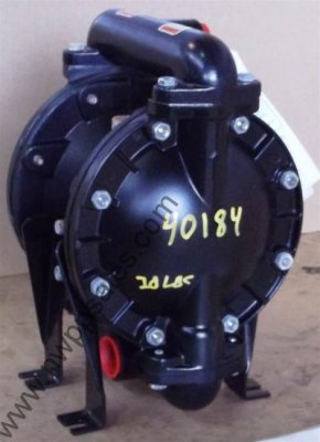 40184a.JPG