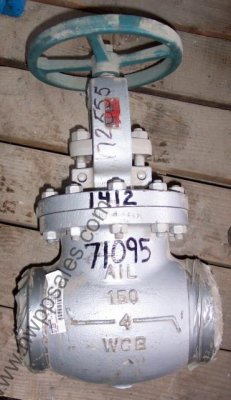 71095a.jpg